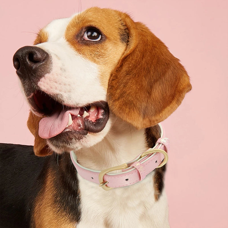 Collar personalizado de cuero reflectante para Perro, placa de identificación con grabado gratis, para perros pequeños, medianos y grandes