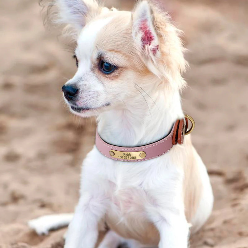 Collar personalizado de cuero reflectante para Perro, placa de identificación con grabado gratis, para perros pequeños, medianos y grandes