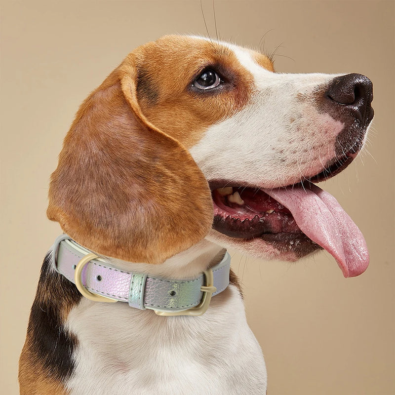 Collar personalizado de cuero reflectante para Perro, placa de identificación con grabado gratis, para perros pequeños, medianos y grandes