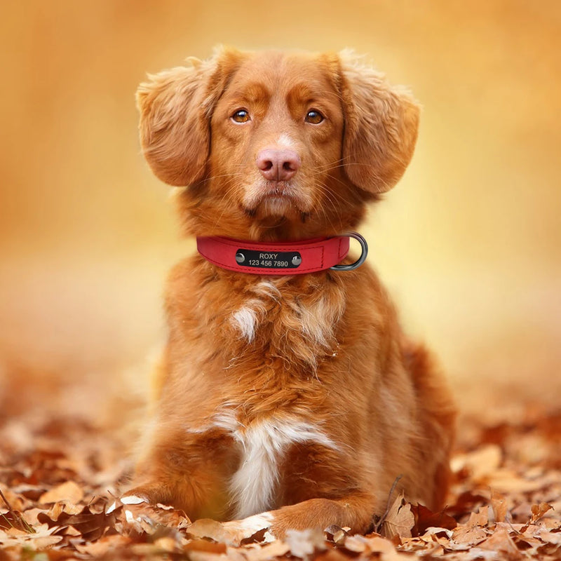 Collar personalizado de cuero reflectante para Perro, placa de identificación con grabado gratis, para perros pequeños, medianos y grandes