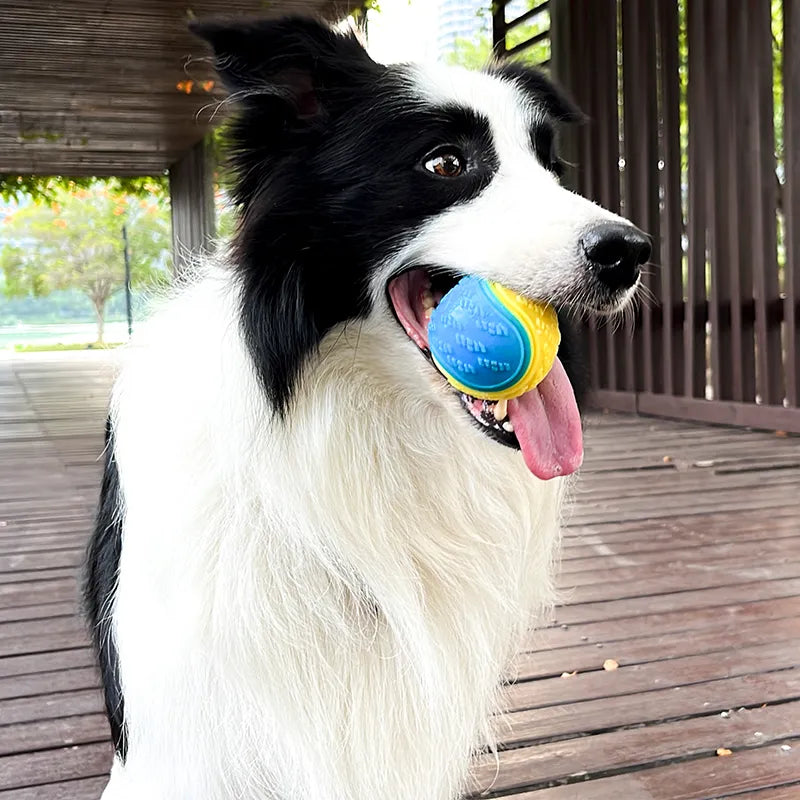 Juguetes interactivos de TPR para perros: limpian dientes, resistentes a mordidas, brindan diversión y cuidado dental para mascotas.