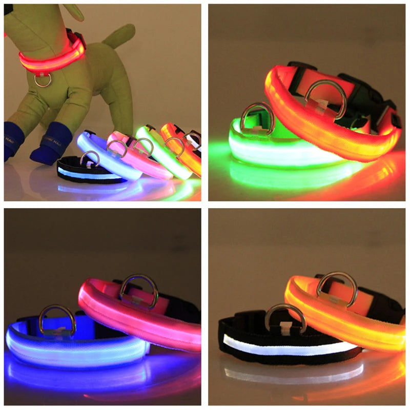 Collar para perro XS/M, recargable por USB, luces LED para Collar, luz nocturna de seguridad suave ajustable, suministros para mascotas intermitentes