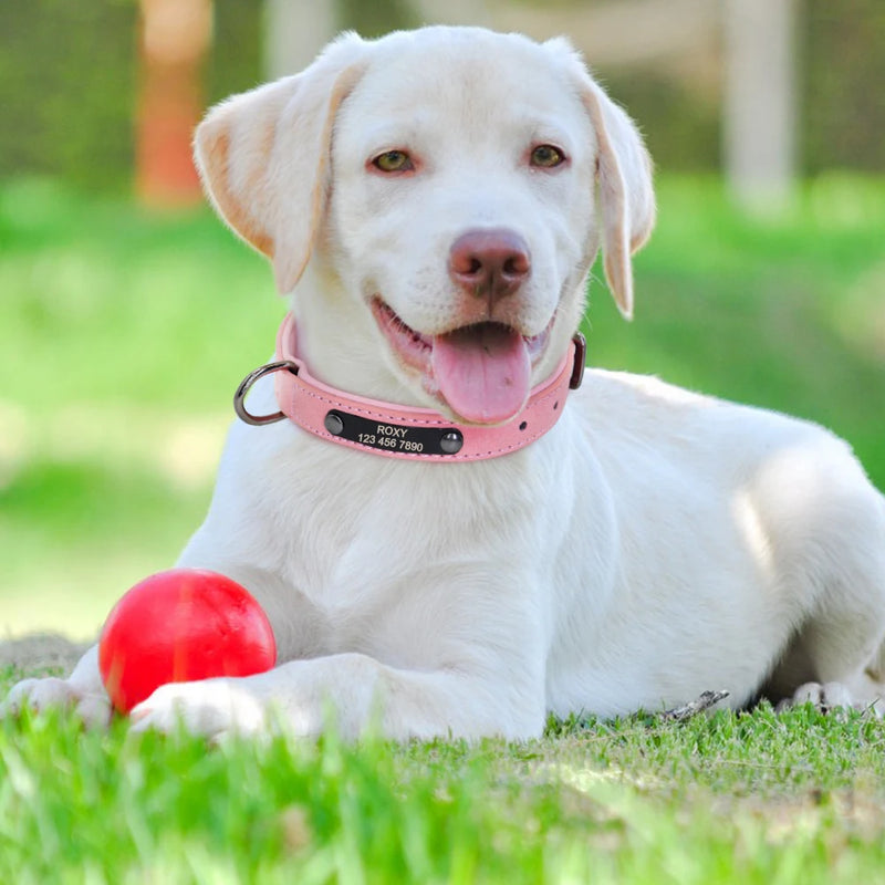 Collar personalizado de cuero reflectante para Perro, placa de identificación con grabado gratis, para perros pequeños, medianos y grandes