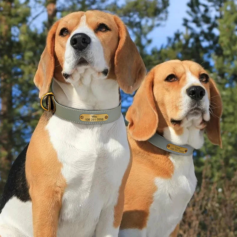 Collar personalizado de cuero reflectante para Perro, placa de identificación con grabado gratis, para perros pequeños, medianos y grandes