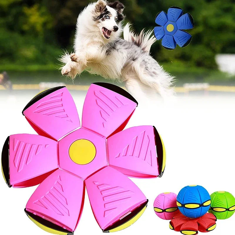 Pelota interactiva de juguetes para perros Flying UFO ✅ ✅