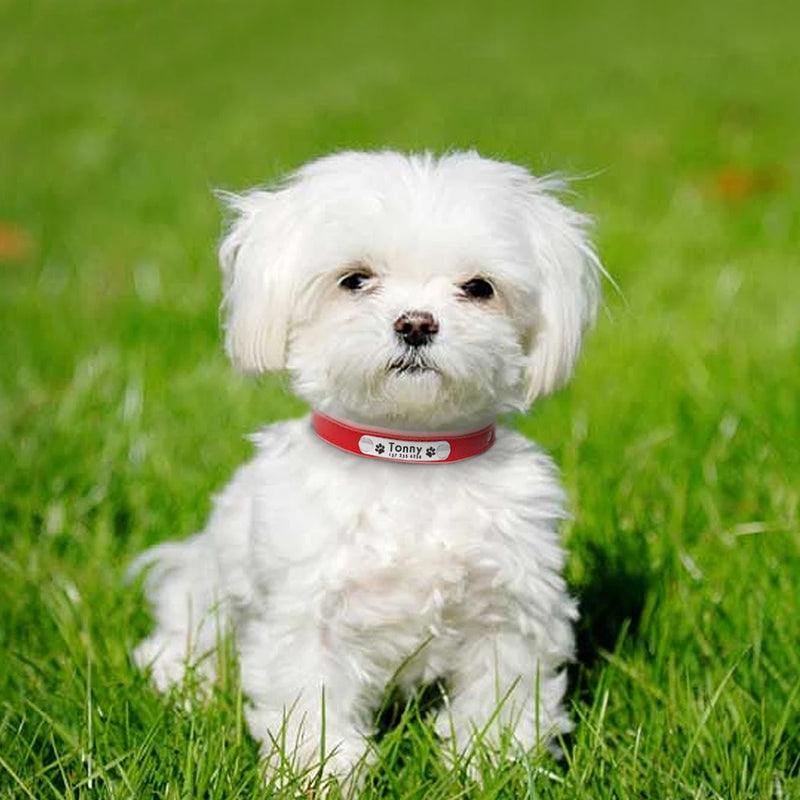 Collar personalizado de cuero reflectante para Perro, placa de identificación con grabado gratis, para perros pequeños, medianos y grandes