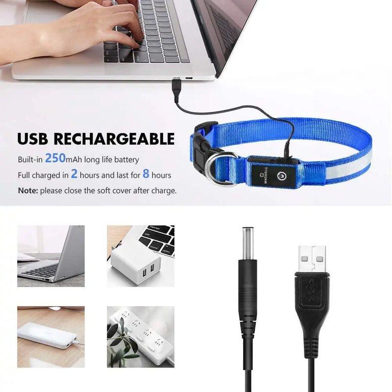 Collar para perro XS/M, recargable por USB, luces LED para Collar, luz nocturna de seguridad suave ajustable, suministros para mascotas intermitentes