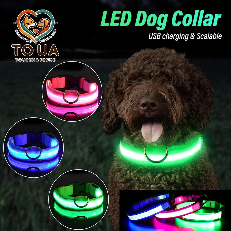 Collar para perro XS/M, recargable por USB, luces LED para Collar, luz nocturna de seguridad suave ajustable, suministros para mascotas intermitentes