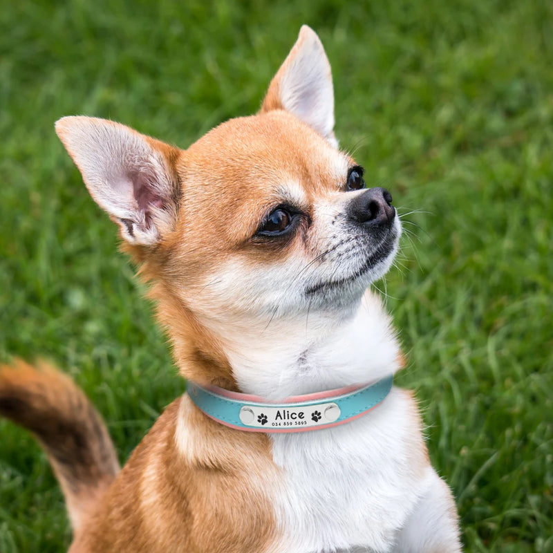 Collar personalizado de cuero reflectante para Perro, placa de identificación con grabado gratis, para perros pequeños, medianos y grandes