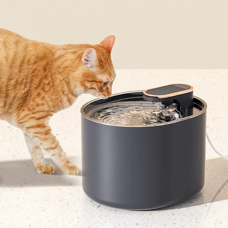 Fuente de agua automática para gatos de 3L con luz LED y alimentador eléctrico USB ultrasilencioso, ideal para tus mascotas.